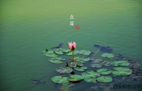 西安起名公司