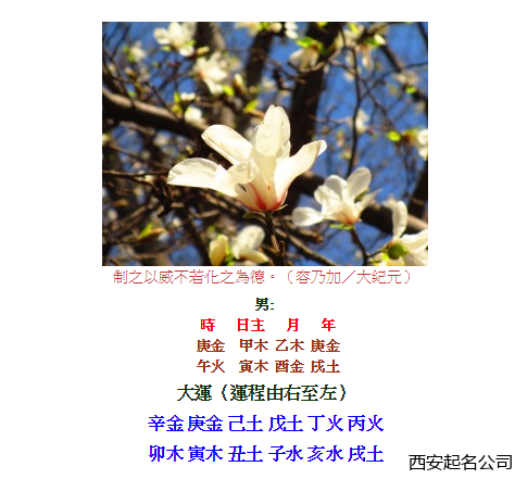 西安起名公司宋晓涛