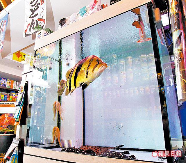西安风水大师
