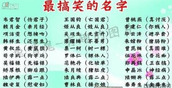 起名公司